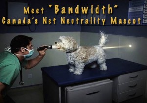good_dog_bandwidth1